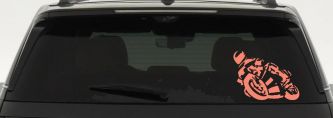 Street Bike Motorcycle Racing Car or Truck Window Decal Sticker (Coral)