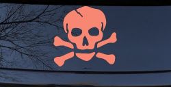 Skull and Cross Bones Biker or Pirate Car or Truck Window Decal Sticker (Coral)