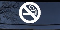 NO SMOKING Car or Truck Window Decal Sticker