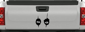Cooper Eyes Car or Truck Window Decal Sticker (Black)
