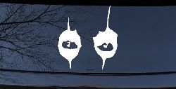 Cooper Eyes Car or Truck Window Decal Sticker