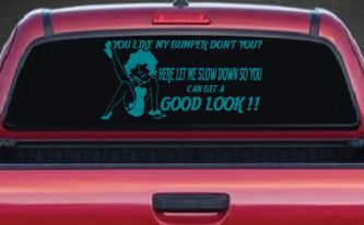 Like my Bumper (Turquoise Blue)