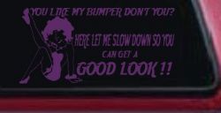 Like my Bumper (Violet)