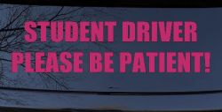 Student Driver Please Be Patient Car or Truck Window Decal Sticker (Hot Pink)