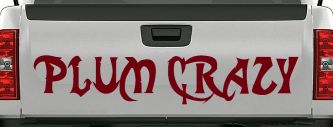 Plum Crazy Motor Sports Car or Truck Window Decal Sticker (Burgundy)
