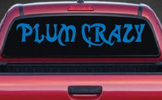 Plum Crazy Motor Sports Car or Truck Window Decal Sticker (Sky Blue)