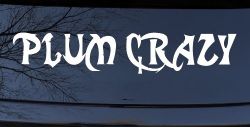 Plum Crazy Motor Sports Car or Truck Window Decal Sticker