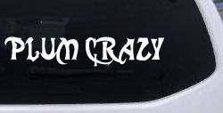 Plum Crazy Motor Sports Car or Truck Window Decal Sticker