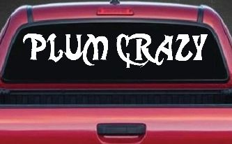 Plum Crazy Motor Sports Car or Truck Window Decal Sticker