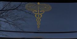 Symbol for Respiratory Therapy Car or Truck Window Decal Sticker (Gold)