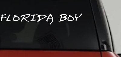 Florida Boy Car or Truck Window Vinyl Decal Sticker