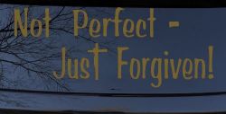 Not Perfect Just Forgiven Christian Car or Truck Window Decal Sticker (Gold)