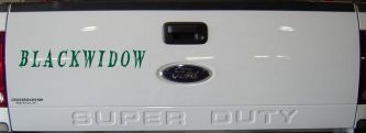 Blackwidow Car or Truck Window Decal Sticker (Dark Green)