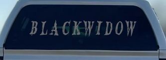 Blackwidow Car or Truck Window Decal Sticker (Silver)