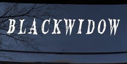 Blackwidow Car or Truck Window Decal Sticker