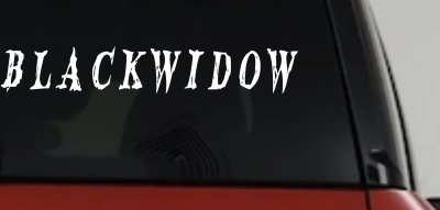Blackwidow Car or Truck Window Vinyl Decal Sticker