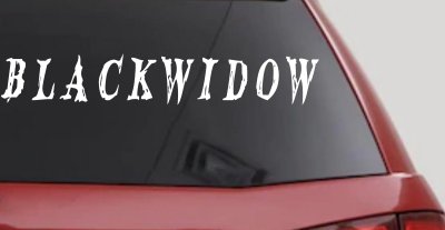 Blackwidow Car or Truck Window Vinyl Decal Sticker