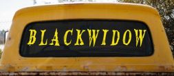 Blackwidow Car or Truck Window Decal Sticker (Yellow)