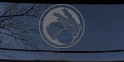 Bacon and Eggs Business Window Lettering Sign Car or Truck Window Decal Sticker (Silver)