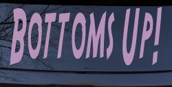 Bottoms Up Country Car or Truck Window Vinyl Decal Sticker (Lilac)