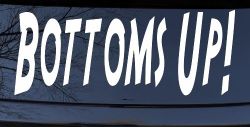 Bottoms Up Country Car or Truck Window Decal Sticker