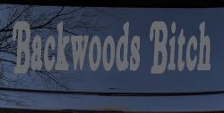 Backwoods Bitch Country Car or Truck Window Decal Sticker (Silver)