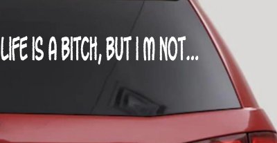 Life Is A Bitch But Im Not Car or Truck Window Vinyl Decal Sticker