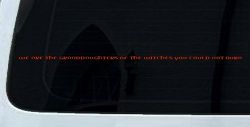 We are the granddaughters of the witches you could not burn Car or Truck Window Vinyl Decal Sticker (Orange Red)