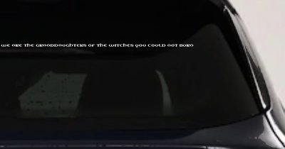 We are the granddaughters of the witches you could not burn Car or Truck Window Vinyl Decal Sticker