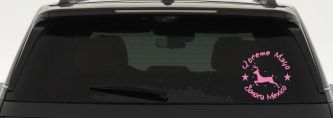 Yoreme Mayo Sonora Mexico Car or Truck Window Vinyl Decal Sticker (Pink)
