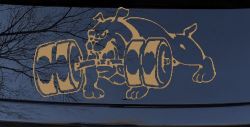Bulldog With Barbells Car or Truck Window Decal Sticker (Light Brown)