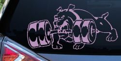 Bulldog With Barbells Car or Truck Window Decal Sticker (Lilac)