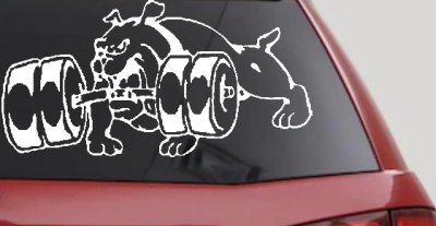 Bulldog With Barbells Car or Truck Window Vinyl Decal Sticker
