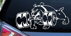Bulldog With Barbells Car or Truck Window Decal Sticker