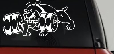 Bulldog With Barbells Car or Truck Window Vinyl Decal Sticker