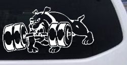 Bulldog With Barbells Car or Truck Window Decal Sticker