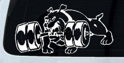 Bulldog With Barbells Car or Truck Window Decal Sticker