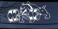 Bulldog With Barbells Car or Truck Window Decal Sticker