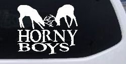 Horny Boys Buck Deer Hunting Car or Truck Window Decal Sticker