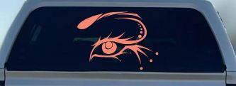 Eye Car or Truck Window Decal Sticker (Coral)