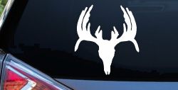Deer Skull Hunting Car or Truck Window Decal Sticker
