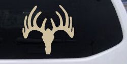Deer Skull Mount Hunting Car or Truck Window Decal Sticker (Desert Sand)