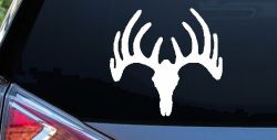 Deer Skull Mount Hunting Car or Truck Window Decal Sticker