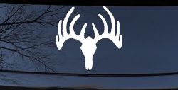 Deer Skull Mount Hunting Car or Truck Window Decal Sticker
