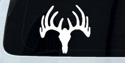 Deer Skull Mount Hunting Car or Truck Window Decal Sticker