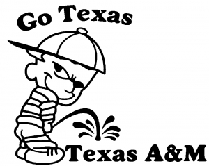 Go Texas College car-window-decals-stickers