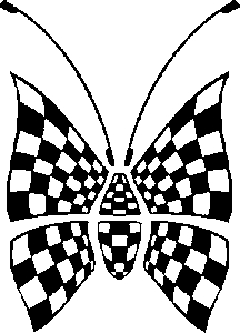 Race Flag Butterfly