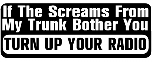 Turn Up Your Radio Funny car-window-decals-stickers