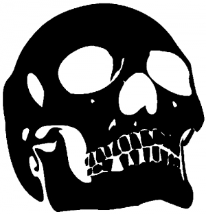 Skull Front View Decal