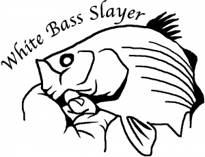 White Bass Slayer Fishing Decal Car or Truck Window Decal Sticker